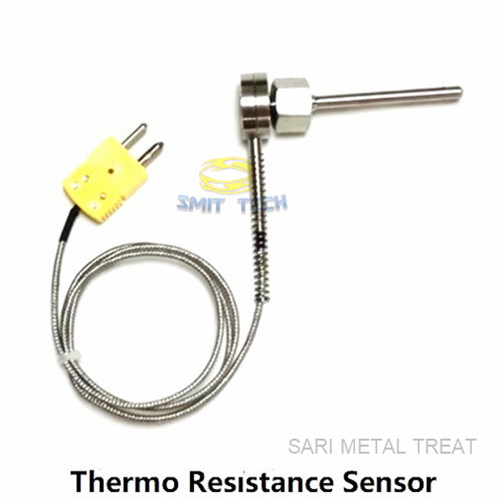 thermo electrical resistance sensor